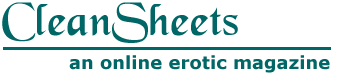 Clean Sheets Logo